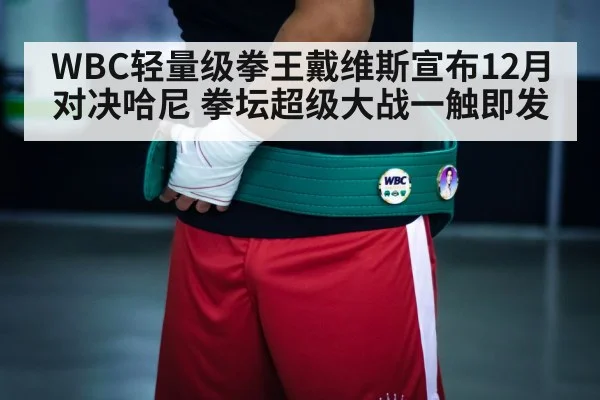 WBC轻量级拳王戴维斯宣布12月对决哈尼 拳坛超级大战一触即发