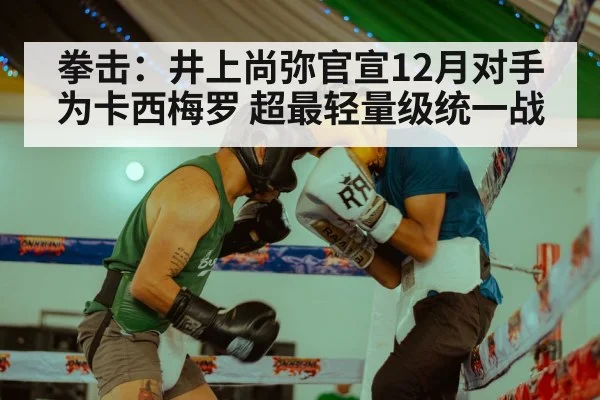 拳击：井上尚弥官宣12月对手为卡西梅罗 超最轻量级统一战